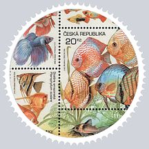 Briefmarke-rund-rechts